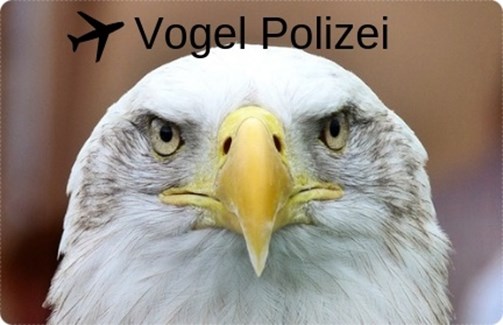 tierische flughafenmitarbeiter, tiere am flughafen